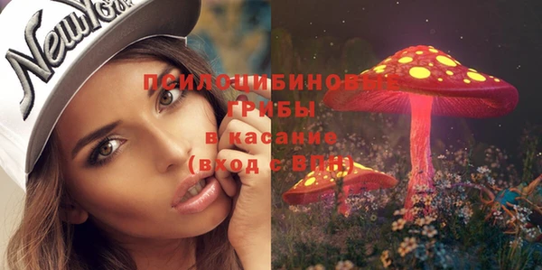 прущий лед Надым