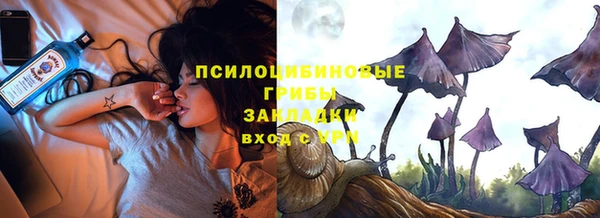 прущий лед Надым