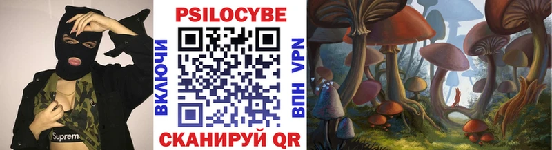 Купить где  Киселёвск  Псилоцибиновые грибы GOLDEN TEACHER 